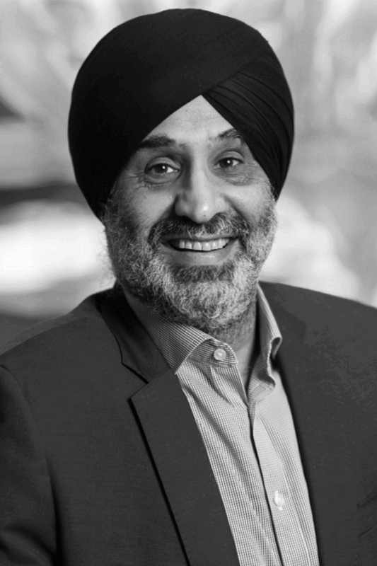Harbhajan Brar Non-Executive Director