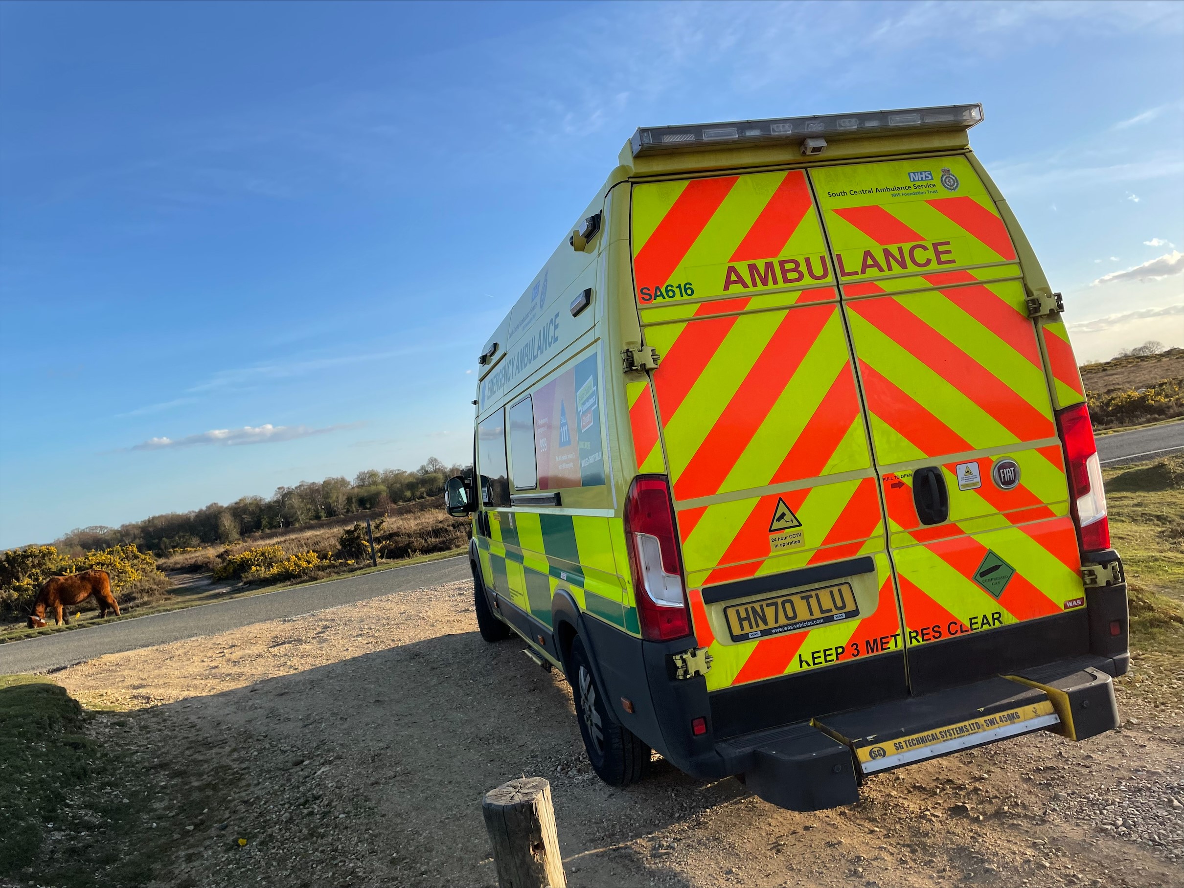 An ambulance parked in the New Forest on a sunny day