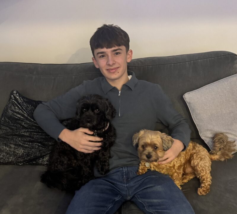 A 15-year-old boy sitting on a sofa at home with two dogs.